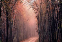 里尔客场不敌亚眠，遭遇两连败：风雨飘摇中的红白军团，何去何从？