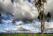 布里斯托城取胜收获三分，保级形势明朗