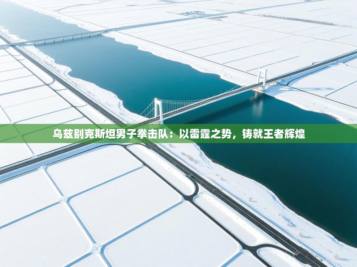 乌兹别克斯坦男子拳击队：以雷霆之势，铸就王者辉煌